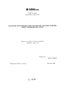 ANALYSE DYNAMIQUE DES LIGNES DE GRANDE PORTÉE