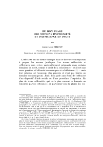 DU  BON  USAGE DES  NOTIONS  D’EFFICACITÉ