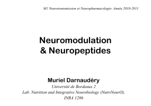 Neuromodulation &amp; Neuropeptides Muriel Darnaudéry Université de Bordeaux 2
