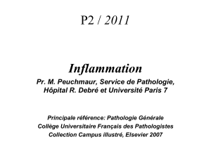 c2 cours inflammation p2 2011