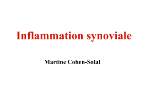 Inflammation synoviale Martine Cohen-Solal