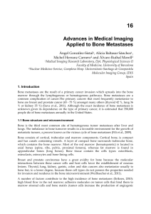 16 Advances in Medical Imaging Applied to Bone Metastases Àngel González-Sistal