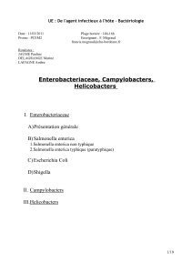 UE : De l'agent infectieux à l'hôte – Bactériologie