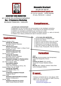 Compétences... Alexandre Brochard ASSISTANT WEB MARKETING Bac +3 Commerce-Marketing