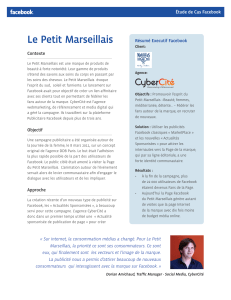Le Petit Marseillais Étude de Cas Facebook Contexte Résumé Executif Facebook