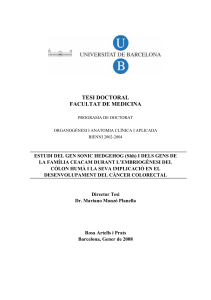 TESI DOCTORAL FACULTAT DE MEDICINA