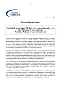 Communiqué de presse plan AAA pour le Luxembourg :