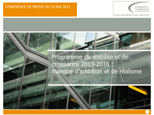 Programme de stabilité et de croissance 2013-2016 :