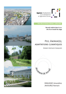 PLU, ÉNERGIE(S), ADAPTATIONS CLIMATIQUES DRAVIGNY Amandine JAVOUREZ Romain