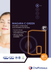 NIAGARA C GREEN Chaudière condensation à accumulation de 40 litres
