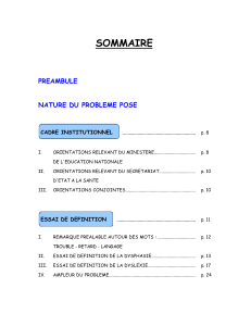 SOMMAIRE PREAMBULE NATURE DU PROBLEME POSE CADRE INSTITUTIONNEL