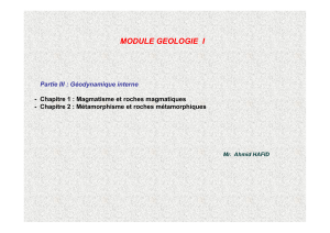 MODULE GEOLOGIE  I Partie III : Géodynamique interne
