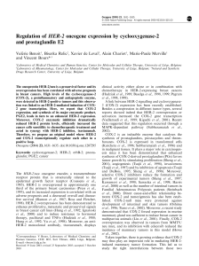 Regulation of HER-2 oncogene expression by cyclooxygenase-2 and prostaglandin E2