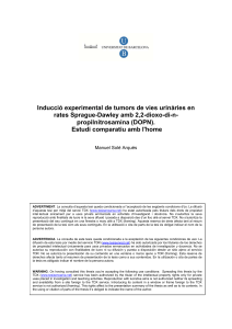 Inducció experimental de tumors de vies urinàries en propilnitrosamina (DOPN).