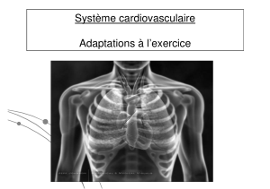Système cardiovasculaire Adaptations à l’exercice