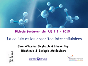 La cellule et les organites intracellulaires  Jean-Charles Deybach &amp; Hervé Puy