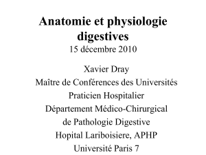 Anatomie et physiologie digestives