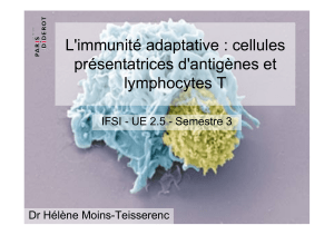 L'immunité adaptative : cellules présentatrices d'antigènes et lymphocytes T