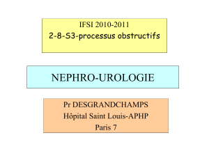 NEPHRO-UROLOGIE IFSI 2010-2011 2-8-S3-processus obstructifs Pr DESGRANDCHAMPS