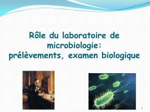 cours ifsi role du laboratoire de microbiologie nathalie grall 1