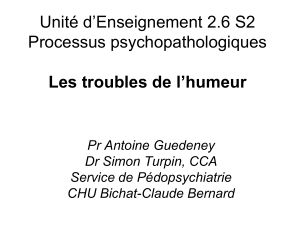 Unité d’Enseignement 2.6 S2 Processus psychopathologiques Les troubles de l’humeur Pr Antoine Guedeney