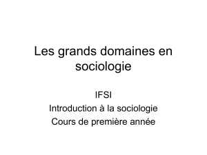 Les grands domaines en sociologie IFSI Introduction à la sociologie