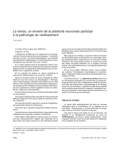 Le stress, un ennemi de la plasticité neuronale participe