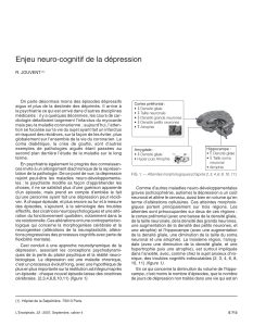Enjeu neuro-cognitif de la dépression