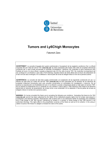 Tumors and Ly6Chigh Monocytes Fatemeh Zare