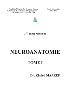 neuroanatomie tome i