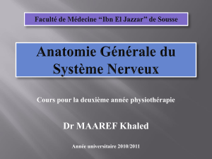 Dr MAAREF Khaled Cours pour la deuxième année physiothérapie Année universitaire 2010/2011