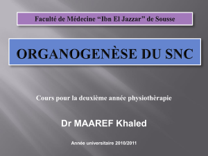 Dr MAAREF Khaled Cours pour la deuxième année physiothèrapie Année universitaire 2010/2011