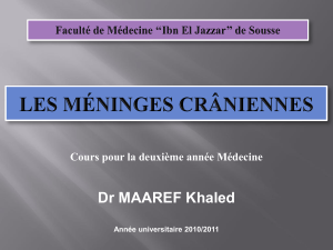 Dr MAAREF Khaled Cours pour la deuxième année Médecine Année universitaire 2010/2011
