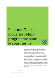 Pour une Tunisie moderne : Mini- programme pour le court terme