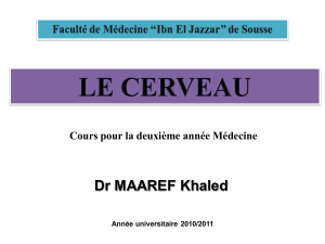 Dr MAAREF Khaled Cours pour la deuxième année Médecine