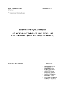 Economie du développement  solution pour l’émancipation économique ? »