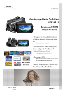 Caméscope Haute Définition HDR-SR11 Caméscope HD HDD Disque Dur 60 Go