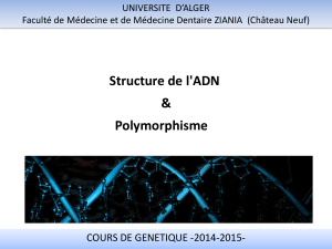 Structure de l'ADN et polymorphisme