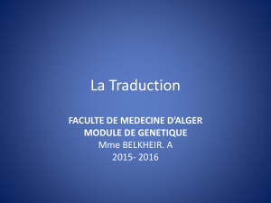 La Traduction FACULTE DE MEDECINE D’ALGER MODULE DE GENETIQUE Mme BELKHEIR. A