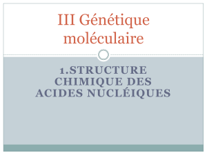 III Génétique moléculaire 1.STRUCTURE CHIMIQUE DES