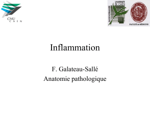 Inflammation F. Galateau-Sallé Anatomie pathologique