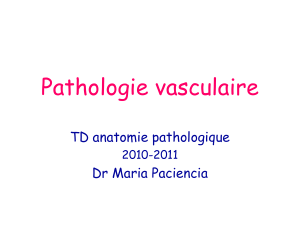 Pathologie vasculaire TD anatomie pathologique Dr Maria Paciencia 2010-2011