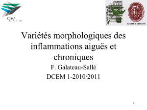 Variétés morphologiques des inflammations aiguës et chroniques F. Galateau-Sallé
