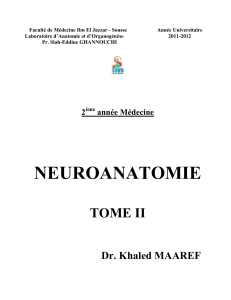 neuroanatomie tome ii