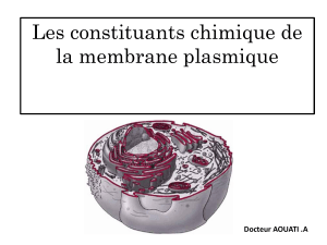 Les constituants chimique de la membrane plasmique Docteur AOUATI .A