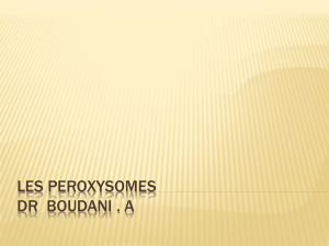 P roxysomes