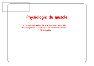 Physiologie du muscle