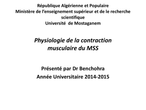 Contraction musculaire du MSS