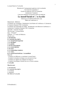 1 Le massif facial et l’os hyoïde Université de Constantine 3