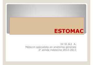 ESTOMAC Dr SI ALI  A. Médecin spécialiste en anatomie générale 2